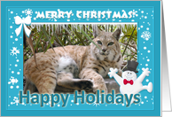 Bobcat Christmas...