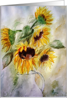 sunflowers