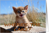 Where's the cake?