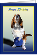 Birthday, Hound...