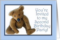 Teddy Bear Birthday,...