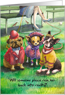 Dressed Up Dogs :...