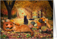 Cats in Autumn