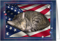 Cat with Flag, 4th...