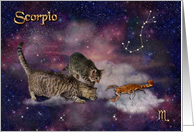 Scorpio Birthday -...
