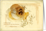 Antique Rose -...