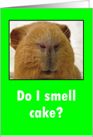 Do I smell cake?...