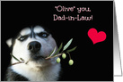 Father in Law Happy Father’s Day With Husky card