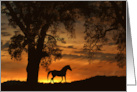 Beautiful Thinking of You Horse and Oak Tree in Sunrise Nature card