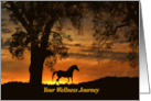 Beautiful Get Well, Feel Better Horse and Nature Wellness Journey card