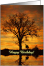 Horse Birthday Beautiful Nature Oak Tree and Sunset Pond Custom card
