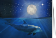 Dolphin and Moon...