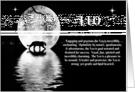 Zodiac Sign of Leo...