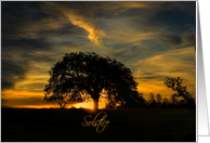 Oak Tree Sunset...