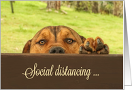 Social Distancing...
