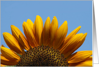 sunflower note card