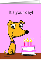 Dog birthday card...