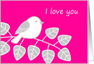 I Love You Bird