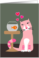 Cat & Goldfish...