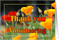 Thank You Volunteer...
