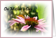 On Mother's Day
