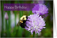Happy Birthday-Bee...