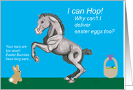 Lippizan Foal Easter