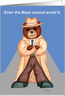 Fedora Bear- Boss...