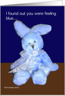 Toy Blue Bunny...