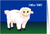 Miss 'Ewe', Sheep...