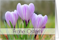 German Frohe Ostern...