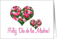 Spanish Mother's Day...