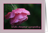 Sympathy Raindrops...