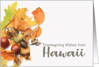 Hawaii Thanksgiving...
