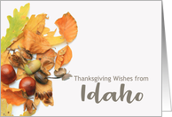 Idaho Thanksgiving...