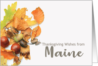 Maine Thanksgiving...