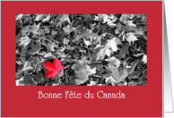 French Canada Day...