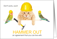 Divorce Encouragement Cat and Parrots with Hardhats card