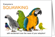 Parrot Adoption...