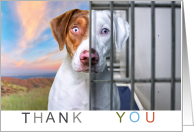 Donation Thank You Shelter Dog New Life card