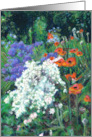 Pretty Floral Painting of June Garden with Poppies Blank card
