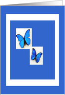 Blue butteflies