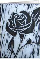Black Rose -Sympathy