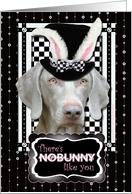 There's NoBunny Like...