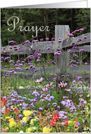 Prayer Flowers