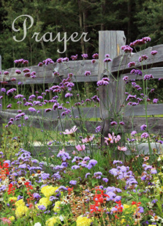 Prayer Flowers