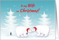 Wife Christmas Humor...