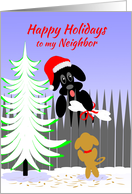 Neighbor Christmas...