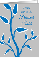 Passover Seder...