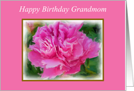 Grandmom Happy...